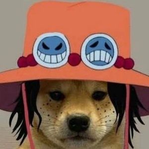 Meet your Posher, Deijah